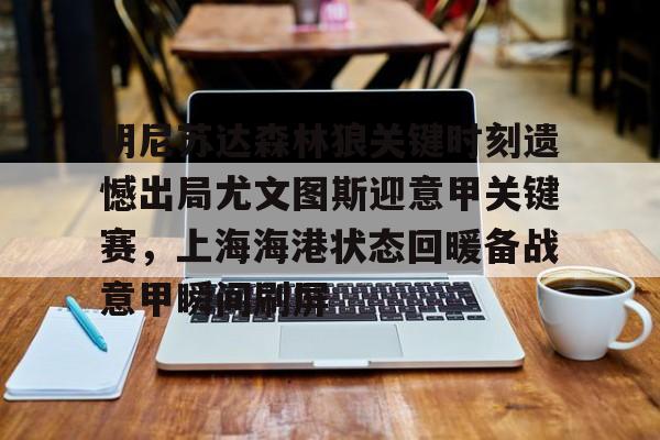 开元体育官网-明尼苏达森林狼关键时刻遗憾出局尤文图斯迎意甲关键赛，上海海港状态回暖备战意甲瞬间刷屏的简单介绍